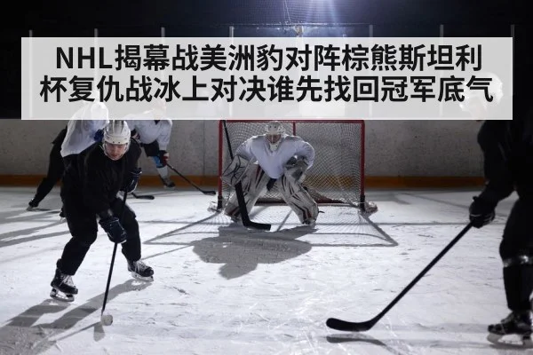 ice hockey game action | Kaiyun Sports