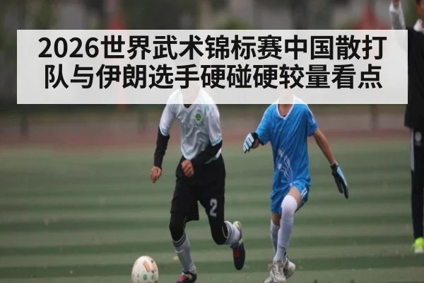 2026世界武术锦标赛中国散打队与伊朗选手硬碰硬较量看点